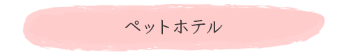 ybgze