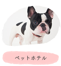 ペットホテル