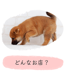 どんなお店？